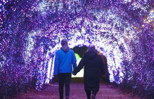 Winter Illuminations